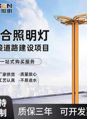 厂家供应城市组合照明灯黄色景观路灯LED灯6米8米可定 制