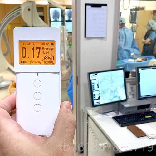 正品国产替代！ 双数核24核辐射检测仪B6011K专业家用盖革版盖格