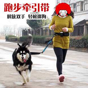 宠物用品 狗链子狗狗牵引带 狗绳跑步带 户外跑步牵引绳