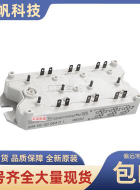 IGBT模块SKM100GD063DL