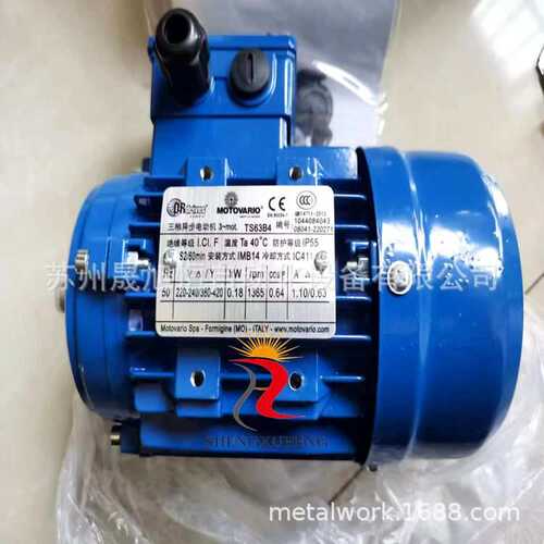 DR DRIVES意大利MOTOVARIO电机TS63B4 TS71/80B4 YS71B4 TS90LA2