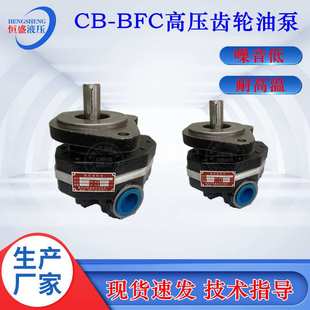 装载机铲车CB-FA18-FL 25 32 16 40 CB-FC50榆次单级高压齿轮油泵