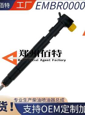 28348371 28342997 A6510700587 A651070498780适用 德尔福喷油器