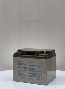 原装理士DJM1238S铅酸式蓄电池12V38AH UPS电源 免维护蓄电池