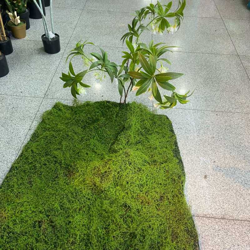 轻奢仿真苔藓草坪人造草坪仿生绿地造景打底配件青苔植物墙装饰