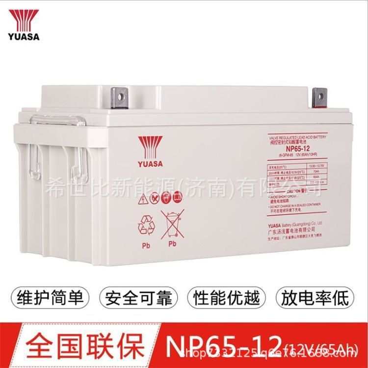 汤浅蓄电池NP65-12 规格12V65AH UPS不间断电源EPS应急电源