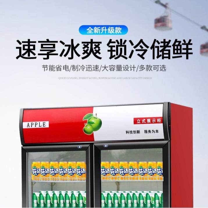 单门饮料柜商用立式保鲜柜商用超市便利店啤酒柜双三门冰箱