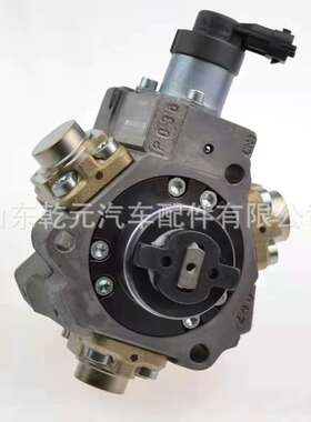 柴油发动机 燃油泵 0445020175 共轨燃油喷射泵