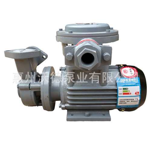 供应防爆油泵WM-05EX电动铸铁卧式高温导热油泵0.5HP热水热油泵