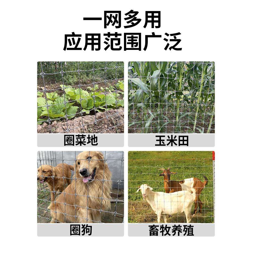 镀锌铁丝网围栏栅栏户外养殖防护钢丝网拦牛羊圈果园鱼塘铁网格网