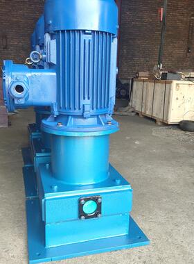 供应60YBP16立式叶片泵 车载滑片泵 甲烷甲醇汽油卸车倒灌输送泵