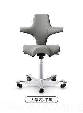 正品挪威进口HA G Cap椅isco骑马椅真皮款人体工学腰电脑办公羊毛
