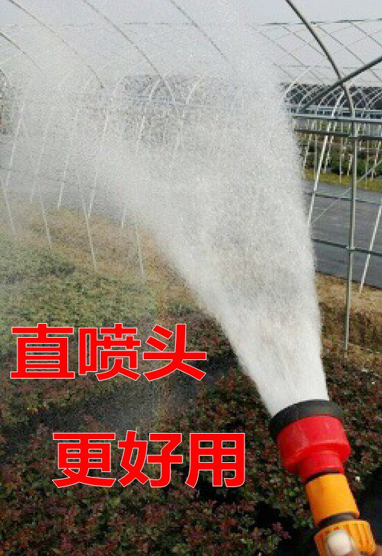 直喷头1000目园艺花洒小苗浇水花卉园林洒水器长杆喷水枪大棚育苗