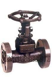 Z/J41H-900Lb-1500Lb锻钢法兰端闸阀 截止阀A105DN15 20 25 50