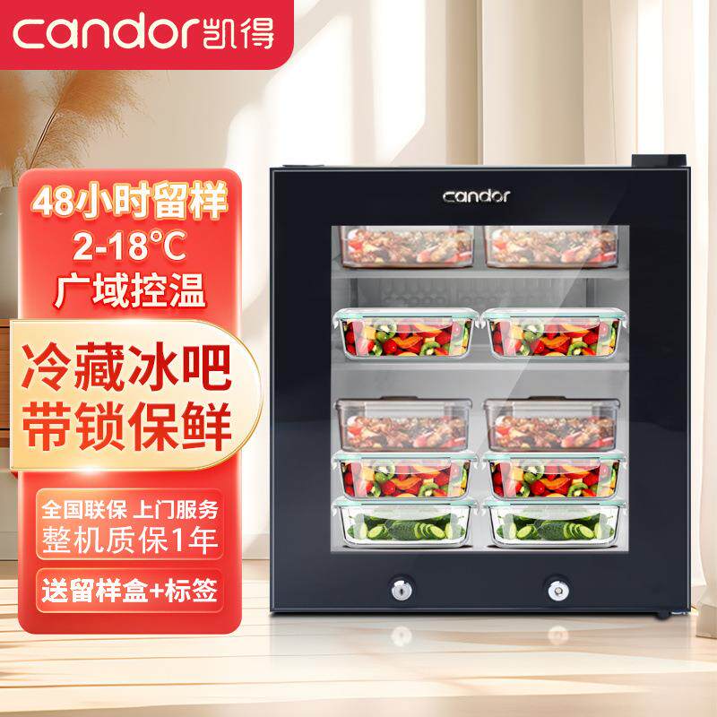食品留样柜小型专用柜饮料冷柜小保鲜冷藏展示柜家用商用冰箱家庭