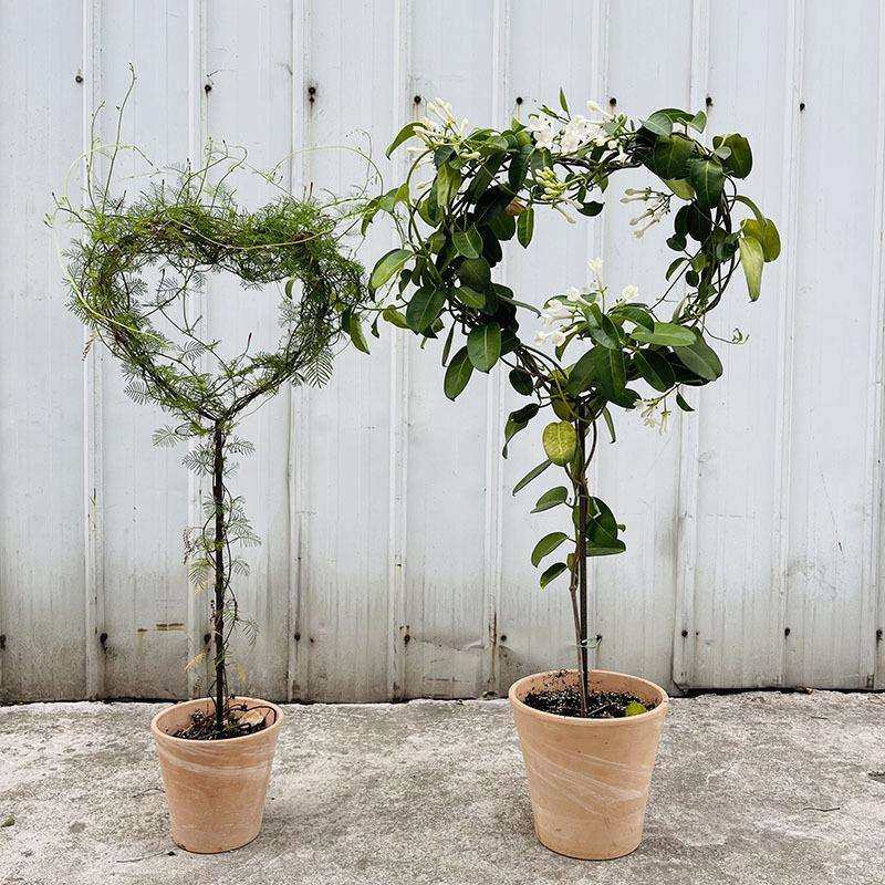 米蔻简约时尚心形花架花插铁线莲爬藤架月季藤蔓园艺支架2个装,玩具/童车/益智/积木/模型,毛绒/玩偶/公仔/布艺类玩具,淘宝优惠券,粉丝福利购,淘宝优惠卷