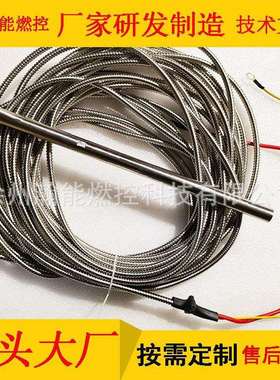 电点火装置 HEPD-1/10A AC220,1A能量1J 10Hz,