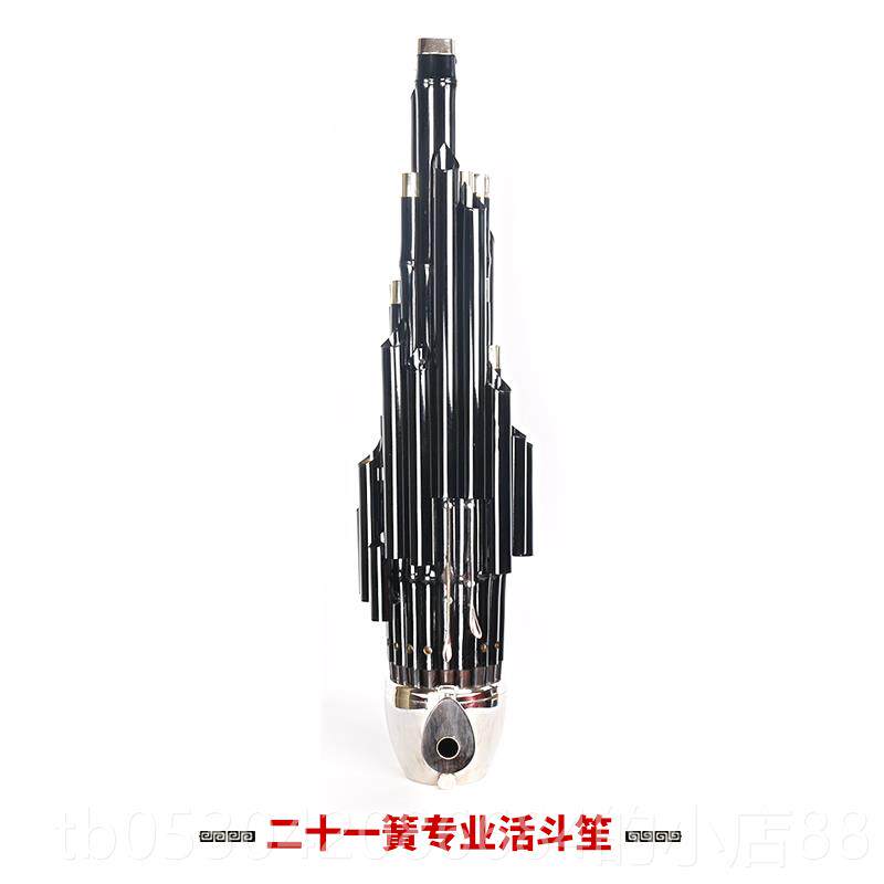 正品新艺 精致加键扩音笙乐21簧笙器全大圆修笙工竽乐器笙包初学
