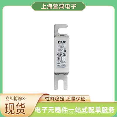 原厂现货170M3930 170M3931 170M3951 170M3952真空熔断器 保险丝