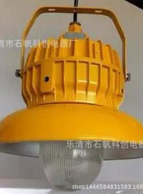 BPC8710防爆平台灯,70W100W150W防爆工厂灯.