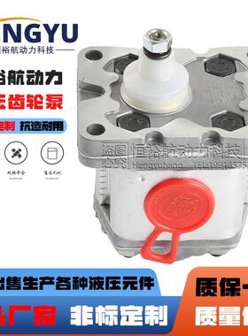 马祖奇油泵MARZOCCHI齿轮泵0.5D1.000.25D181PD3.31PD5液压泵