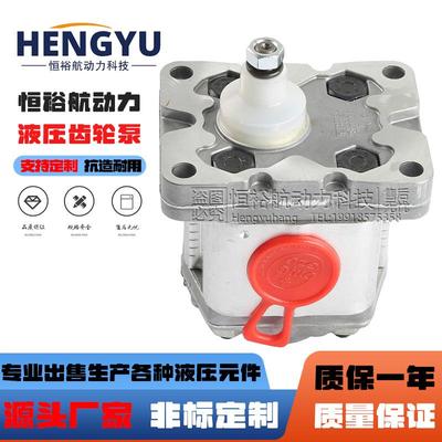 马祖奇油泵MARZOCCHI齿轮泵0.5D1.000.25D181PD3.31PD5液压泵