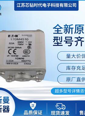 170M4517170M4518170M4519巴斯曼BUSSMANN熔断器保险丝