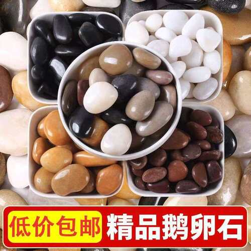 50斤五彩色鹅卵石小石头铺路庭院铺阳台鱼缸天然原石雨花石造景