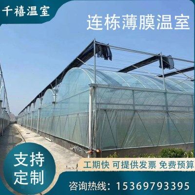 连栋薄膜温室大棚花卉大棚蔬菜大棚骨架 连栋薄膜温室大棚骨架,农机/农具/农膜,温室大棚支架,淘宝优惠券,粉丝福利购,淘宝优惠卷