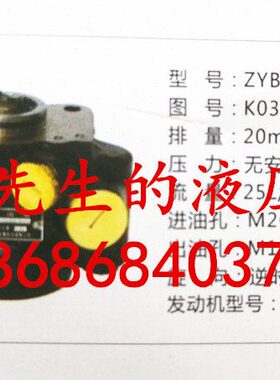 陕西秦川机械发展股份有限公司转向油泵ZYB09-20AN02 ZYB-1316