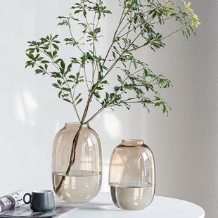 高级感玻璃花瓶吊钟水培马醉木水养雪柳鲜花插花客厅摆件落地装饰