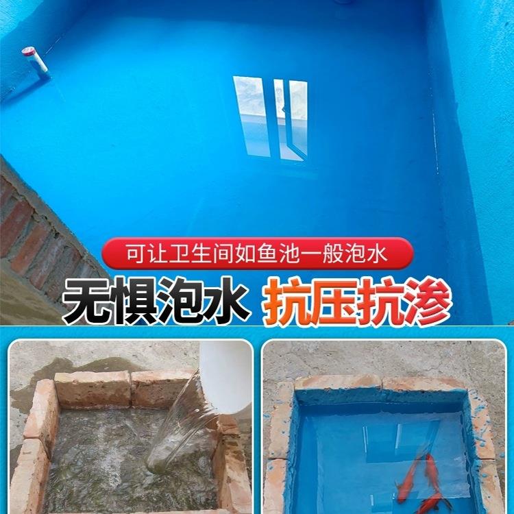 IAQ透防泳水涂料卫生11室内墙面砂浆渗间剂补漏厨房鱼池厕所池