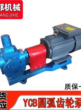 .圆弧齿轮泵YCB10/06粘管FRK道输送电动轮高度机油双圆弧齿泵