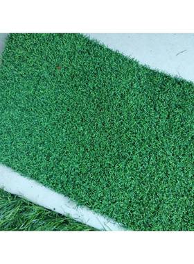 仿真草地毯垫子绿色假人草皮户外装饰造人工塑料绿植坪GB-005幼儿