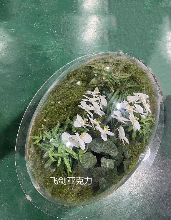 飞剑亚克力透明绿植防尘罩