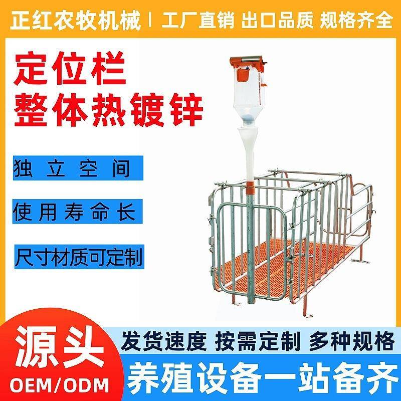 母猪定位栏落保式位栏猪用定位栏WZM带槽地加厚产床仔限猪育