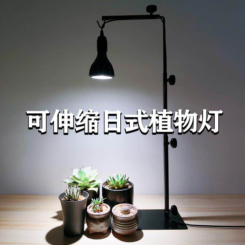 植物补光灯支架立式块根植物架子桌面绿植龟甲龙龙舌兰造景爬虫架