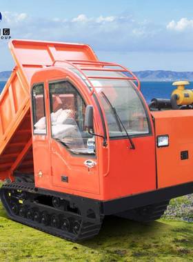 立派RIPA爬山虎履带式运输P车农用小型园全地果形980坡搬运爬车