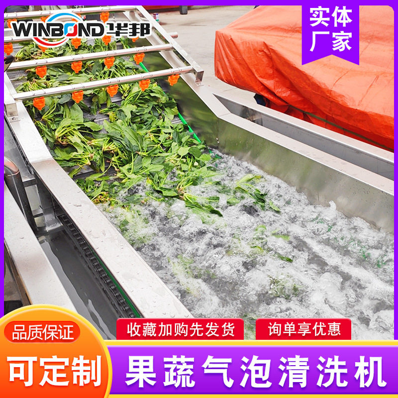 果蔬香气泡喷淋清洗流水线