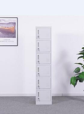 装出口中东更衣柜单体储收物钢制柜纳柜单一门单单体柜二单三单六