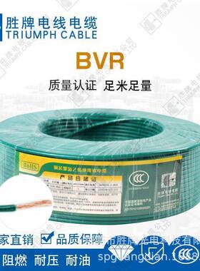 AJO标国阻燃电线BV.5平方多股软线开关照2明R2.5平方铜芯电线
