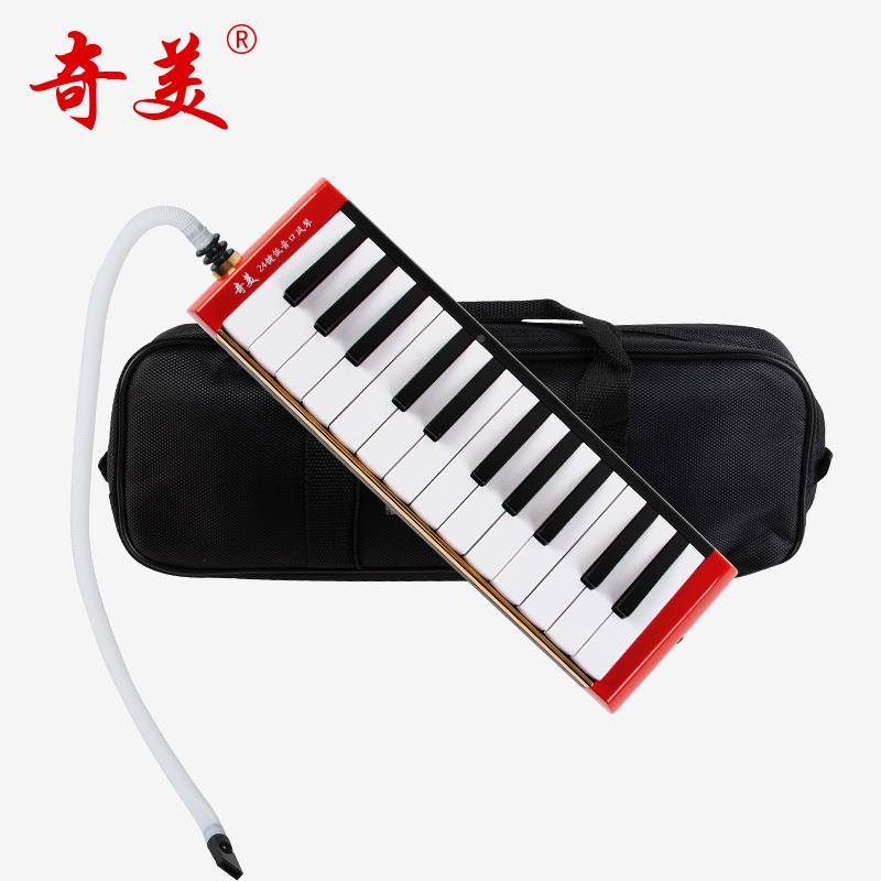 奇美4键低口风琴乐团演奏级表演乐器低2音口风琴音乐队组EIR型合