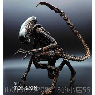 正品手办异形摆后大母战铁血战节士模型契约关超可动人偶玩具汽车