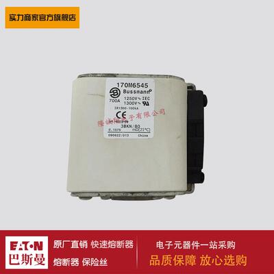 熔断器170M6543 170M6544 170M6545 170M6546 170M6547 170M6548