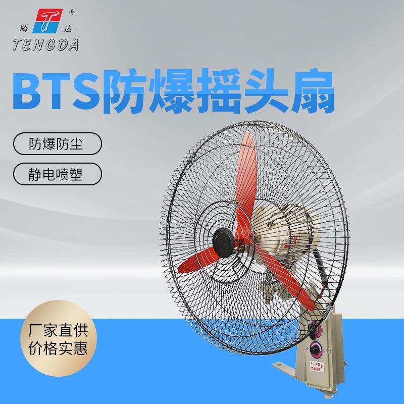 防爆摇头扇BTS-600/220V落地式500壁挂式750工业防爆风扇牛角扇