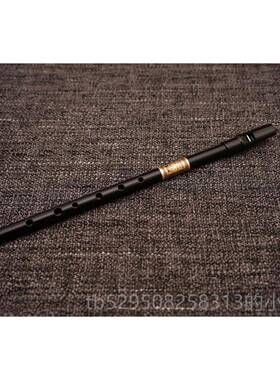 高档CGaleon(帆船 Feadog哨笛改进)版大 高音 /D调