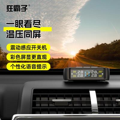 德国202P5新款YFT11胎载测压监测器胎压监系统TMS车WSV电子车载电