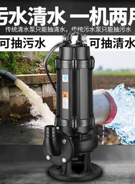 人民污水380v三相排污泵抽泥浆1.5kw千NQQ潜污粪泵3瓦泵大口径220