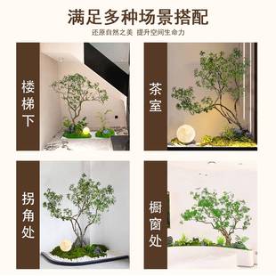 高端马醉装木仿树H0426204真树假树植物橱窗景室造内干景饰仿生绿