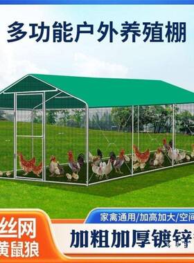 家用笼鸽笼养孔雀鸡棚鸡舍养殖防大型搭建户外OIA挡风遮雨鸡鸡雨